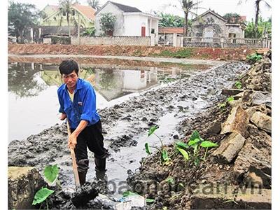 Lợi Ích Kép Từ Nuôi Cá - Lúa Vụ 3