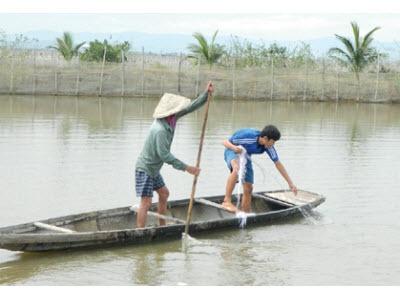 Nuôi Tôm, Cá Bằng Thức Ăn Tự Nhiên