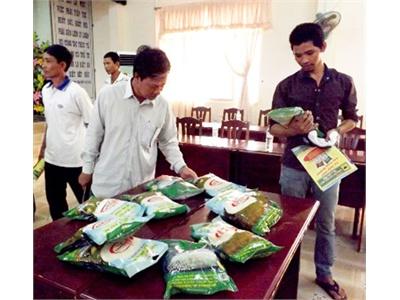 Xây Dựng Thương Hiệu Gạo Một Bụi Đỏ Hồng Dân