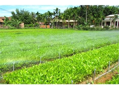 Nông Dân Làm Giàu Từ Vườn Ươm