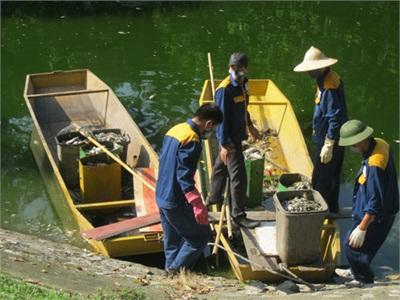 Cá Chết Hàng Loạt Tại Hồ Thiền Quang
