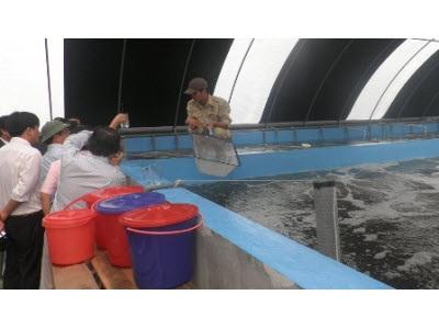 Thừa Thiên Huếhơn 1,2 Tỷ Đồng Phòng Chống Dịch Bệnh Thủy Sản Năm 2015