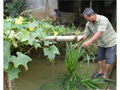 Cựu Thanh Niên Xung Phong Nỗ Lực Làm Giàu