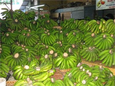 Chuối Laba Rộng Đầu Ra