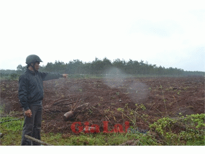 Gia Lai Vận Động Nông Dân Không Chặt Bỏ Cao Su