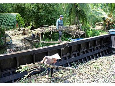 Nông Dân Và Doanh Nghiệp Đều Gặp Khó