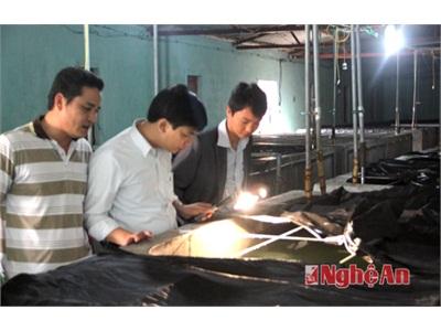 Nghệ An Nỗi Lo Tôm Giống