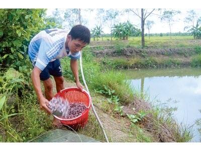 Thương Hiệu Là Chìa Khoá Cho Phát Triển Sản Xuất
