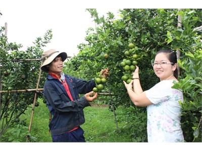 Gia Nghĩa Đẩy Mạnh Thực Hiện Ứng Dụng Khoa Kỹ Thuật Vào Sản Xuất Nông Nghiệp