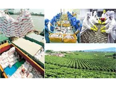 Hợp Tác Xúc Tiến Thương Mại Nông Lâm Sản