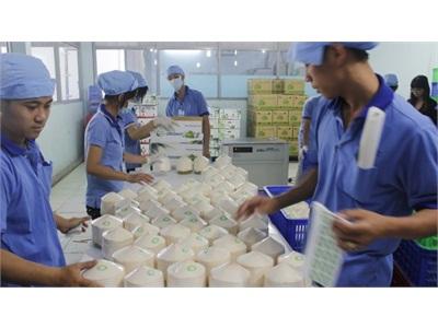 Xuất Khẩu Dừa Tươi Sang Nhật, Hàn Quốc...