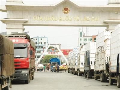 Lào Cai Thông Đường Xuất Khẩu Nông Sản