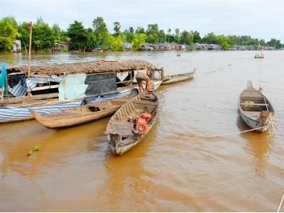 Thất mùa đóng đáy cá linh