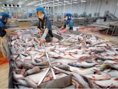 Mỹ lại áp thuế chống bán phá giá cá tra Việt Nam