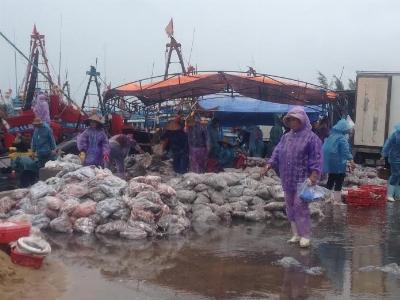 Chợ cá trong mưa bão