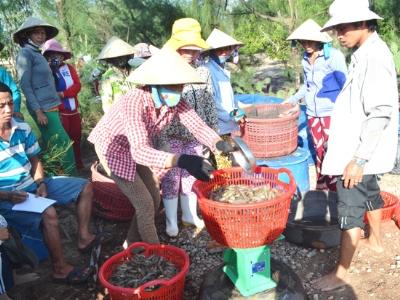 Hạn chế dịch bệnh trên tôm nuôi đầu tư cho nhiều công đoạn