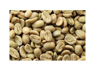 Giá cà phê trong nước ngày 25/09/2015 tiếp tục tăng thêm 500 ngàn đồng/tấn