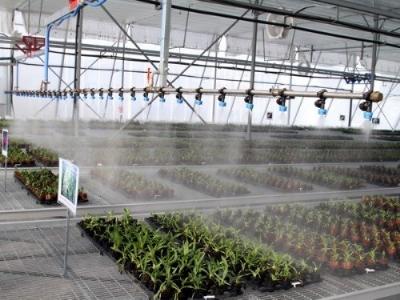 Nhân rộng đại trà dự án áp dụng 3 giảm, 3 tăng và kỹ thuật SRI