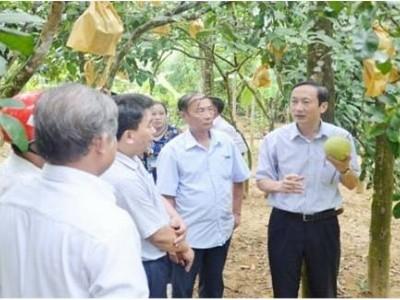 Hà Tĩnh phát triển chuỗi liên kết nông nghiệp