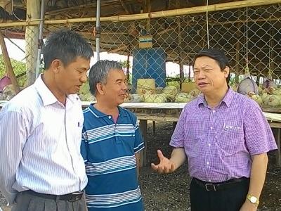 Thành công nhờ liên kết trong sản xuất
