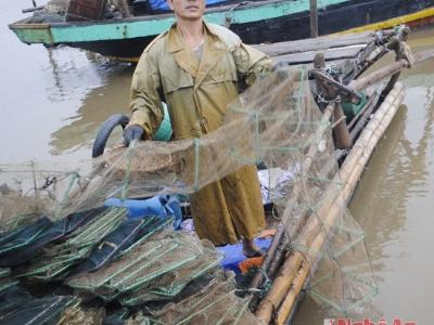 Báo động tình trạng tận diệt nguồn lợi thủy sản