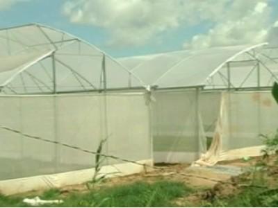 Công ty Ecofam đầu tư hơn 18 tỷ đồng xây dựng nhà lưới ươm giống cây con