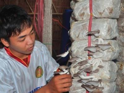 Những mặt hàng nông sản biến người nông dân thành triệu phú