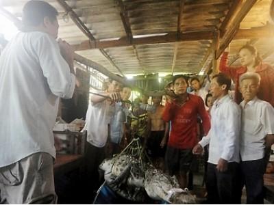 Báo động tình trạng nuôi cá sấu không đảm bảo an toàn