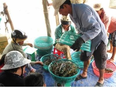 Đẩy mạnh phát triển kinh tế biển