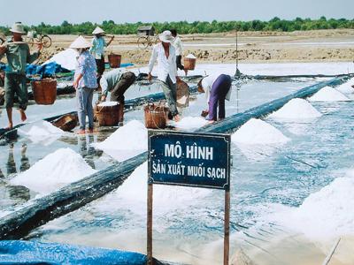 Tổ chức hội thảo đầu bờ về mô hình sản xuất muối sạch