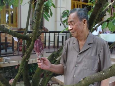 Thầy thuốc 83 tuổi và giấc mơ ca cao Việt