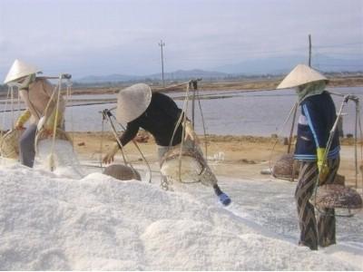 Nhà nước sẽ thực hiện các biện pháp điều tiết thị trường muối