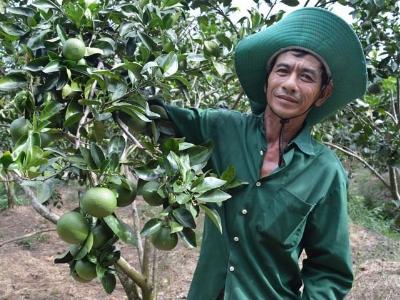 Nhà nông bắt đất phèn đẻ tiền tỷ