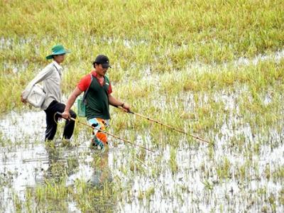 Khan hiếm nguồn thủy sản ngoài tự nhiên