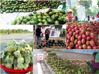Những trái cây Việt rớt giá từng phải đứng đường, vạ vật vỉa hè