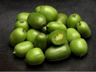 Tận mục giống kiwi berry xanh hái ra tiền