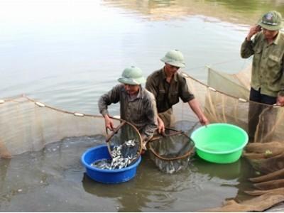 Nơi sản xuất, ương nuôi, lưu giữ giống thủy sản nước ngọt lớn nhất tỉnh Ninh Bình