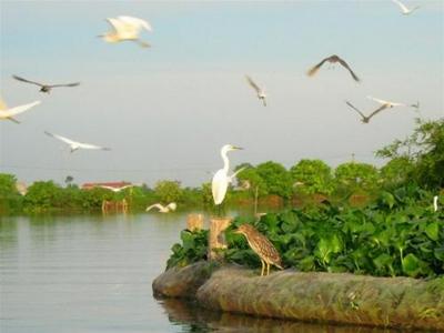Người phụ nữ trở thành tỉ phú từ mô hình VAC
