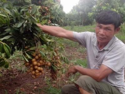 Vua nhãn kể chuyện đếm tiền mỏi tay