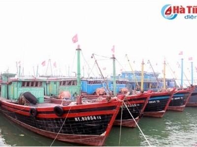 Khi ngư dân vươn khơi, bám biển