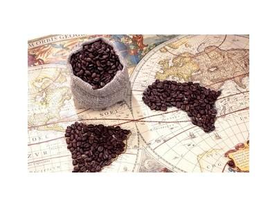 Việt Nam đứng thứ 3 về kim ngạch xuất khẩu cà phê tại Hoa Kỳ