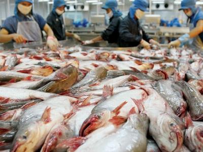 Cấp chứng thư cho thủy sản xuất khẩu qua NSW