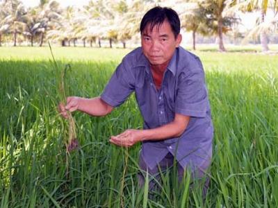 Biến đổi khí hậu đe dọa đồng bằng sông Cửu Long