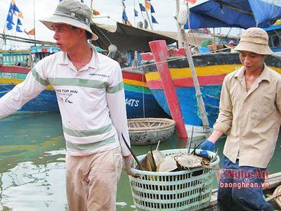 Độc đáo nghề lưới sam ở biển Quỳnh