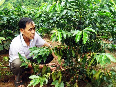 Miền đất chết sinh nhiều triệu phú