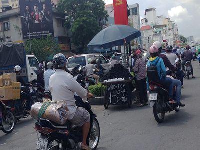 Nho đen Trung Quốc - Thử tại chỗ rất ngon, mang về nhà lại mềm nhũn