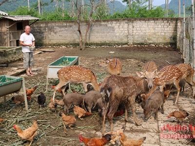 Nông dân làm giàu từ nuôi con đặc sản