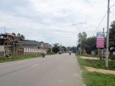 Phú Thọ Trù phú nhờ trồng rừng, chăn nuôi