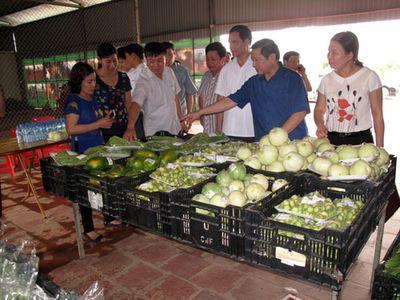 Thông tin bẩn bức hại nhà nông - Quản lý của địa phương đang có vấn đề