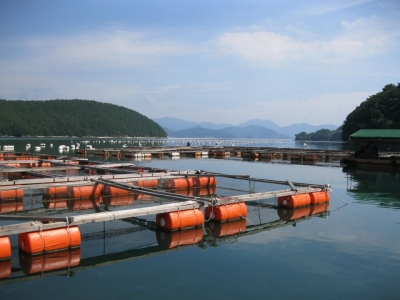 Study: Aquaculture hot spots virtually untapped